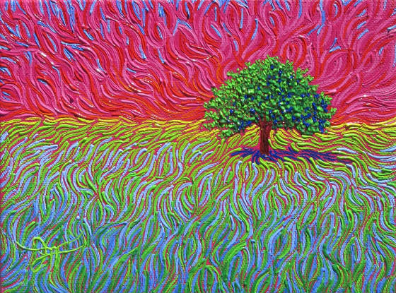 webassets/dgsunrisespelndor6x8.JPG