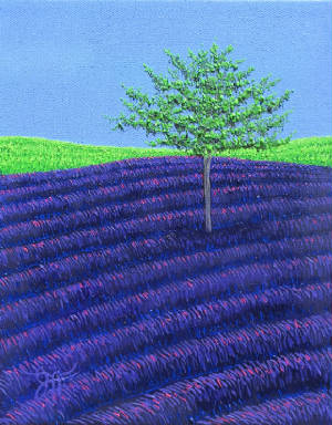 webassets/lavenderjourney8x10.JPG