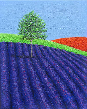 webassets/orangepoppiesandlavender8x10.JPG