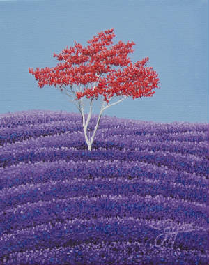 webassets/redburstinlavender8x10.jpg