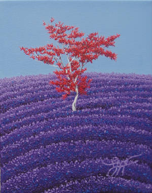 webassets/redmapleinlavender8x10.jpg