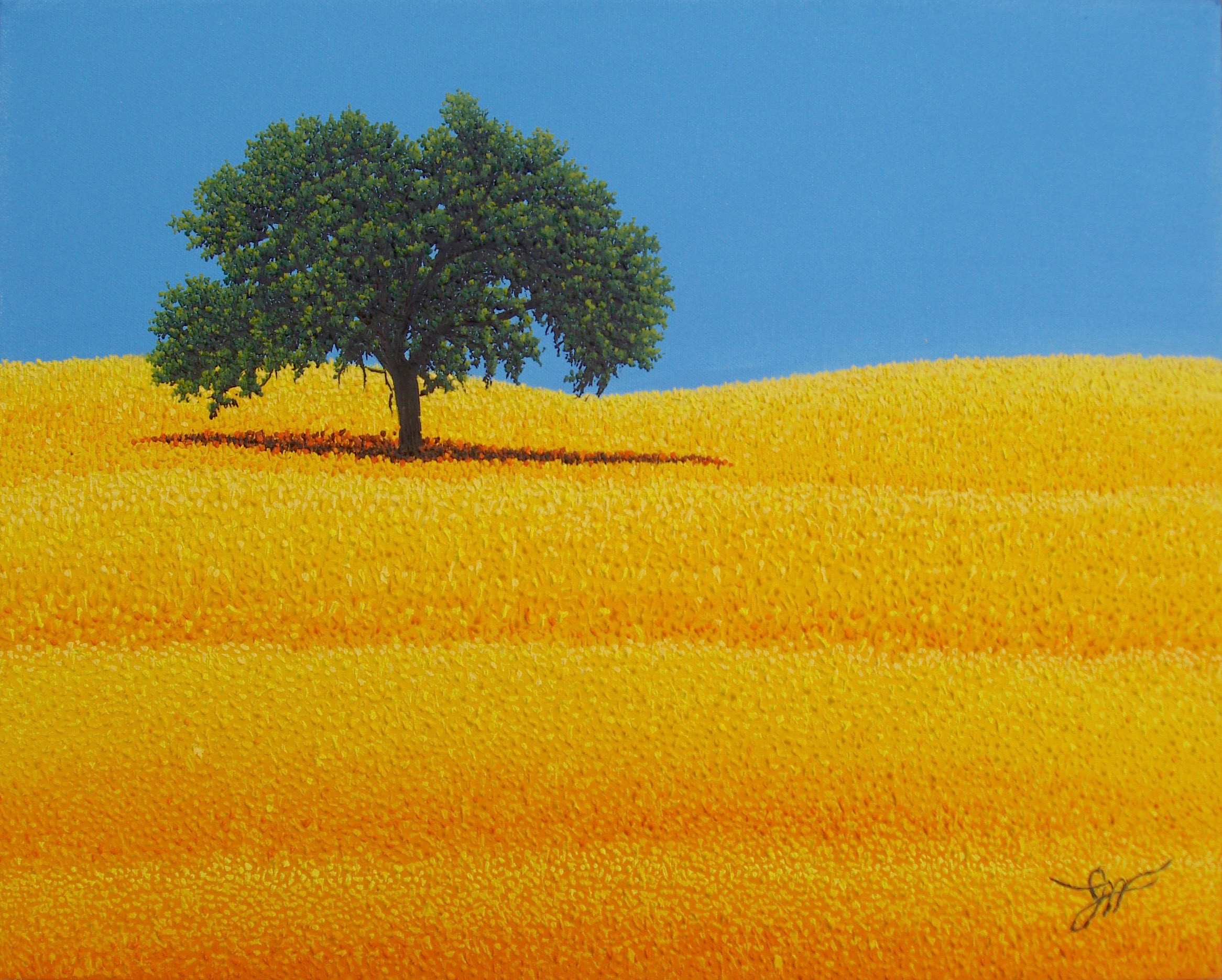 webassets/prairiegold16x20.jpg